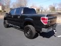 Tuxedo Black - F150 XLT SuperCrew 4x4 Photo No. 8