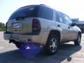 Sandstone Metallic - TrailBlazer LS Photo No. 6
