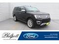 Agate Black Metallic 2019 Ford Expedition Platinum 4x4