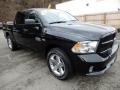Brilliant Black Crystal Pearl - 1500 Express Crew Cab 4x4 Photo No. 7