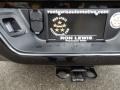 Brilliant Black Crystal Pearl - 1500 Express Crew Cab 4x4 Photo No. 20