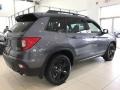 2019 Modern Steel Metallic Honda Passport Elite AWD  photo #4