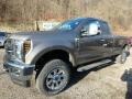 Stone Gray - F250 Super Duty XLT SuperCab 4x4 Photo No. 7