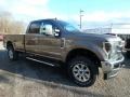 Stone Gray - F250 Super Duty XLT SuperCab 4x4 Photo No. 9