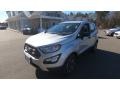 Moondust Silver Metallic - EcoSport S 4WD Photo No. 3
