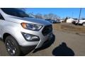 Moondust Silver Metallic - EcoSport S 4WD Photo No. 27