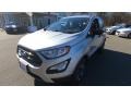 Moondust Silver Metallic - EcoSport S 4WD Photo No. 3