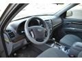 Mineral Gray - Santa Fe GLS AWD Photo No. 10