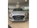 2019 Ion Silver Hyundai Sonata Hybrid Limited  photo #9