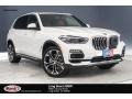 Alpine White - X5 xDrive50i Photo No. 1