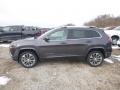 2019 Granite Crystal Metallic Jeep Cherokee Overland 4x4  photo #2