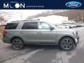 Ingot Silver Metallic 2019 Ford Expedition Limited 4x4