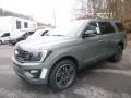 Ingot Silver Metallic - Expedition Limited 4x4 Photo No. 2