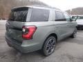 2019 Ingot Silver Metallic Ford Expedition Limited 4x4  photo #4