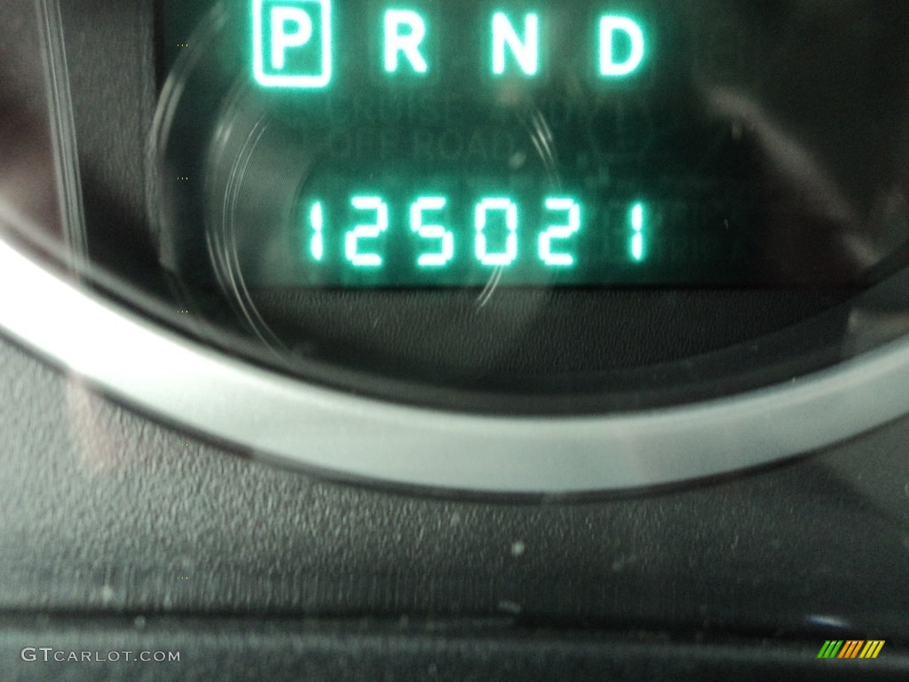 2009 Town & Country LX - Clearwater Blue Pearl / Medium Slate Gray/Light Shale photo #14