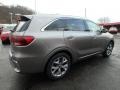 Titanium Silver - Sorento SX AWD Photo No. 2