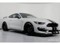 Avalanche Gray - Mustang Shelby GT350R Photo No. 1