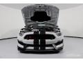 2017 Avalanche Gray Ford Mustang Shelby GT350R  photo #3