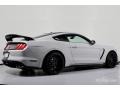 2017 Avalanche Gray Ford Mustang Shelby GT350R  photo #12