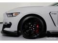Avalanche Gray - Mustang Shelby GT350R Photo No. 14