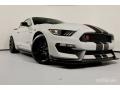 2017 Avalanche Gray Ford Mustang Shelby GT350R  photo #32