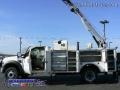 Oxford White - F550 Super Duty XL Regular Cab Commercial Crane Truck Photo No. 3