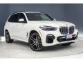 2019 Alpine White BMW X5 xDrive50i  photo #12