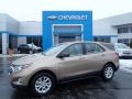 Sandy Ridge Metallic - Equinox LS AWD Photo No. 1