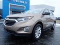 Sandy Ridge Metallic - Equinox LS AWD Photo No. 2