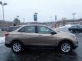 Sandy Ridge Metallic - Equinox LS AWD Photo No. 10