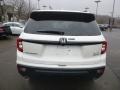 2019 White Diamond Pearl Honda Passport Elite AWD  photo #3