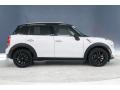Light White - Countryman Cooper Photo No. 19