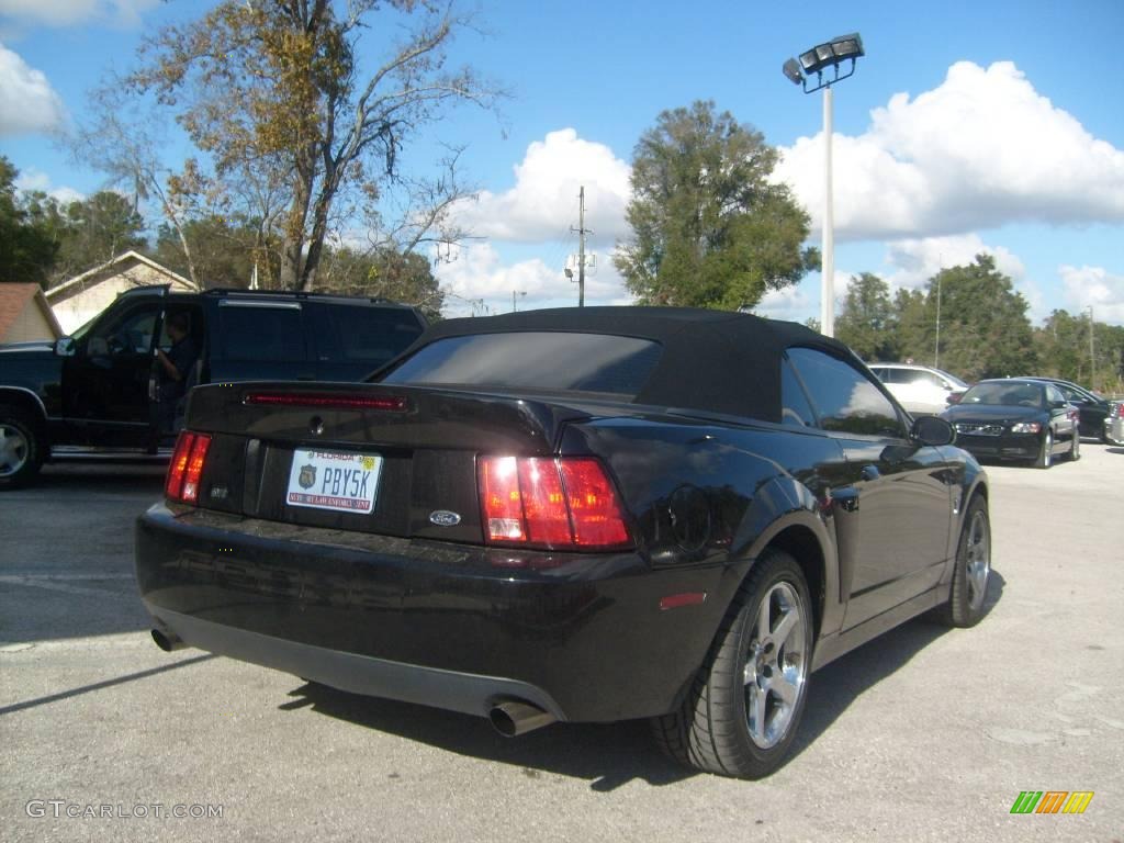 2004 Mustang Cobra Convertible - Black / Dark Charcoal photo #3