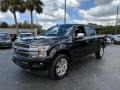 Agate Black - F150 Platinum SuperCrew 4x4 Photo No. 1