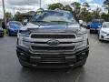 2019 Agate Black Ford F150 Platinum SuperCrew 4x4  photo #8