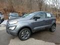 Smoke Metallic 2019 Ford EcoSport S 4WD Exterior