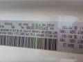 PW3: Vice White 2019 Dodge Journey SE AWD Color Code