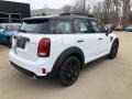 2019 Light White Mini Countryman Cooper S All4  photo #2