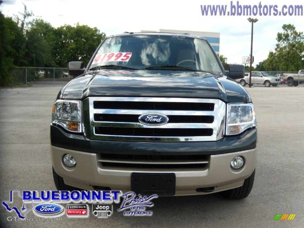 2009 Expedition EL Eddie Bauer 4x4 - Stone Green Metallic / Camel photo #2