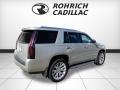 Radiant Silver Metallic - Escalade Luxury 4WD Photo No. 5