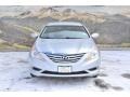 Radiant Silver - Sonata GLS Photo No. 4