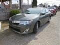 Cypress Pearl - Camry XLE V6 Photo No. 2