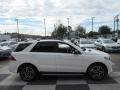 Polar White - GLE 350 Photo No. 3