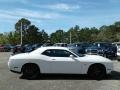 White Knuckle - Challenger R/T Photo No. 6