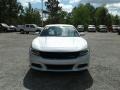 Triple Nickel - Charger SXT Photo No. 8