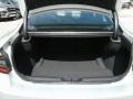 Triple Nickel - Charger SXT Photo No. 19