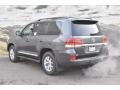 2019 Magnetic Gray Metallic Toyota Land Cruiser 4WD  photo #3