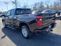 2019 Havana Brown Metallic Chevrolet Silverado 1500 RST Double Cab 4WD  photo #4