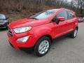 2019 Race Red Ford EcoSport SE 4WD  photo #8