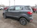 Smoke Metallic - EcoSport S 4WD Photo No. 6